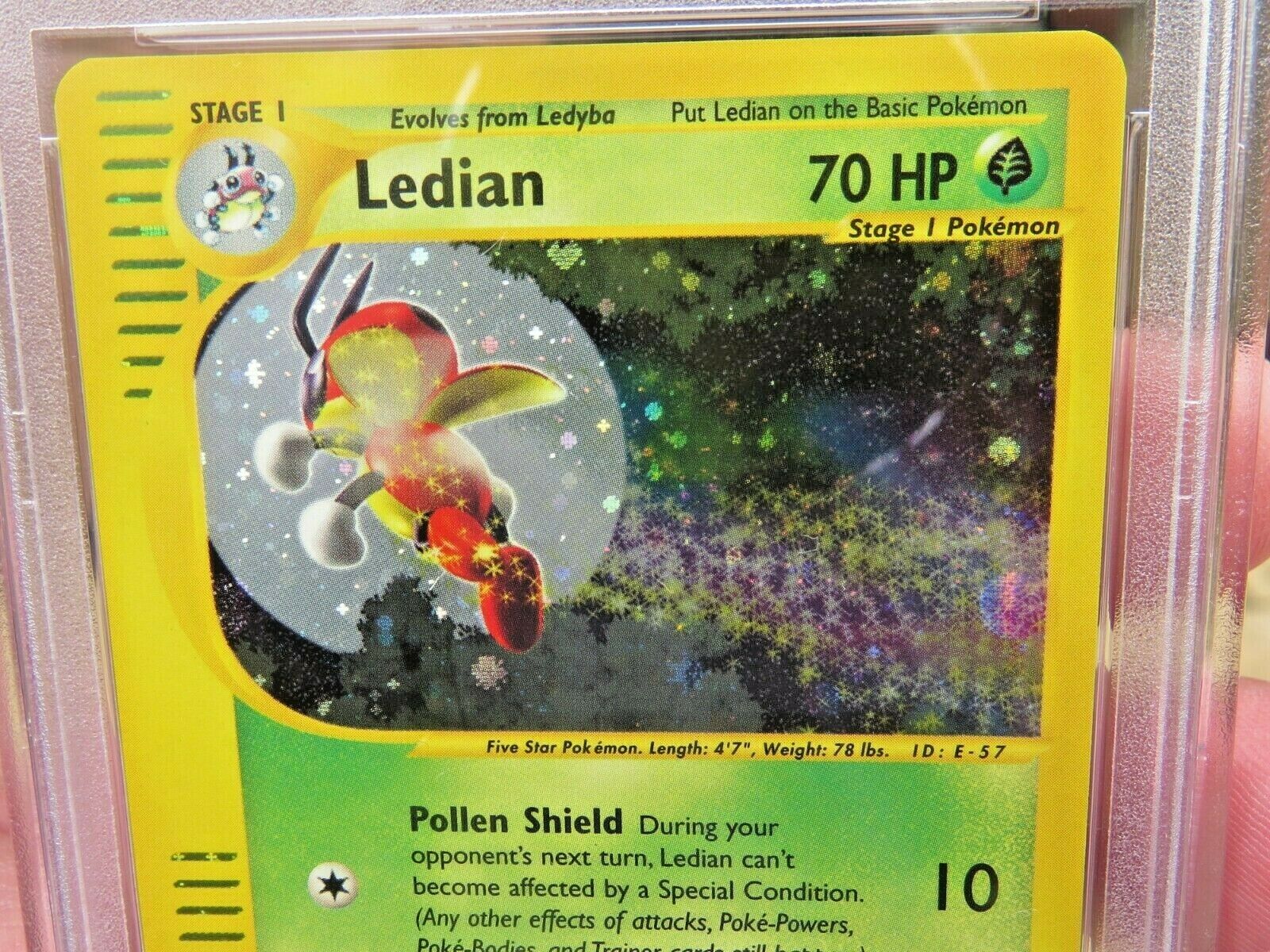 Pokemon Card  Skyridge Holo H14 Ledian PSA 10 Gem Mint