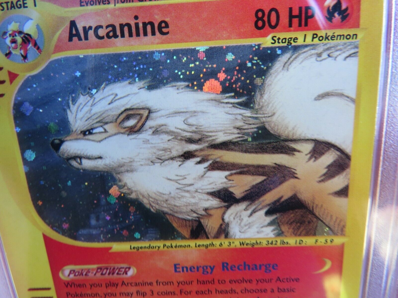 Pokemon Card  Skyridge Holo H2 Arcanine PSA 10 Gem Mint 