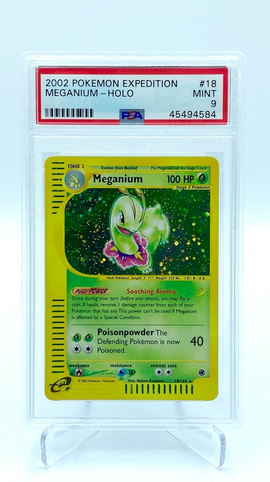 Meganium E Reader Holo PSA 9   Pokemon Card  Expedition