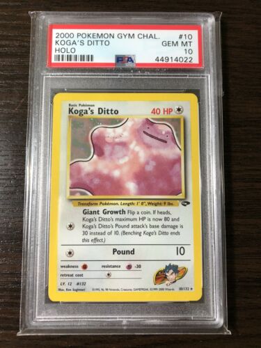 Pokemon Kogas Ditto  PSA 10 GEM MINT  Gym Challenge Holo 10