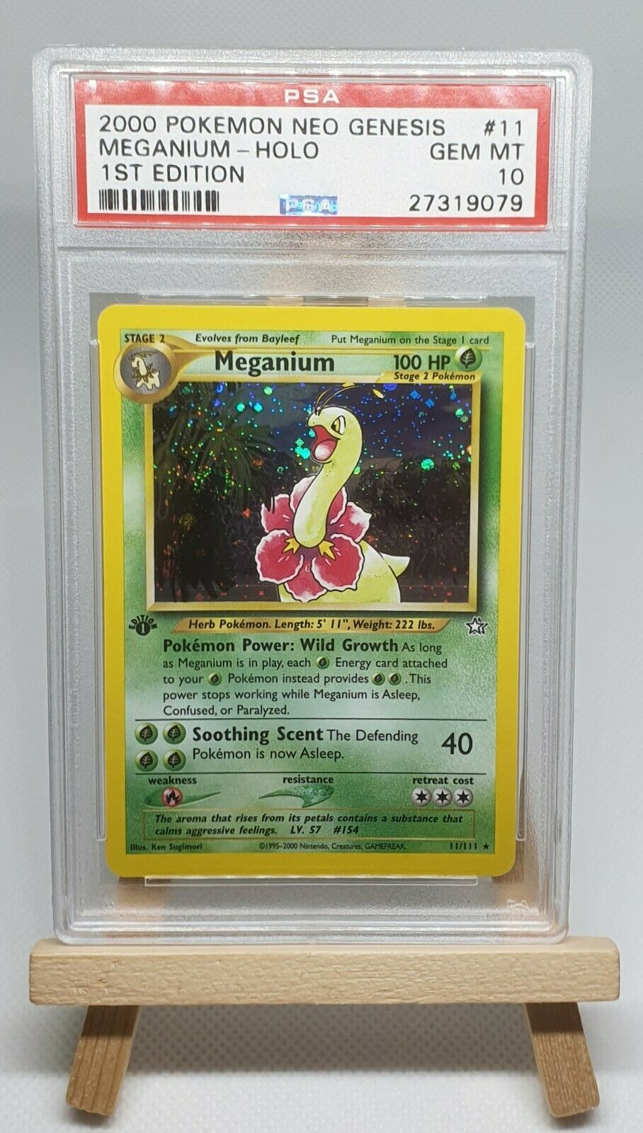 Pokemon 1st Edition Meganium Neo Discovery PSA 10 GEM MINT Read Description