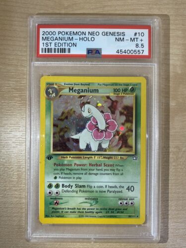 PSA 85 Meganium 10 1st Edition  Neo Genesis Holo  WOTC Pokemon Card