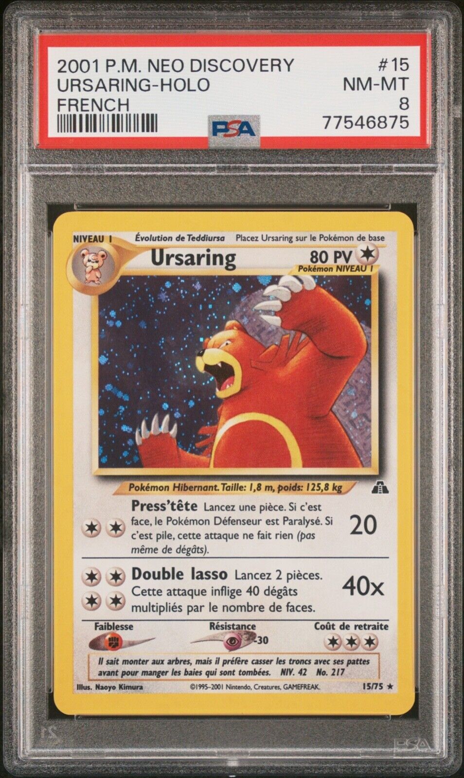 PSA 8 Ursaring Holo  No Discovery Ed 1 FR 1575  Carte Pokemon 2001  POP 1